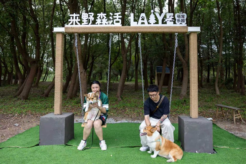 专业分享“河洛杠次开挂辅助器安卓版”详细开挂玩法