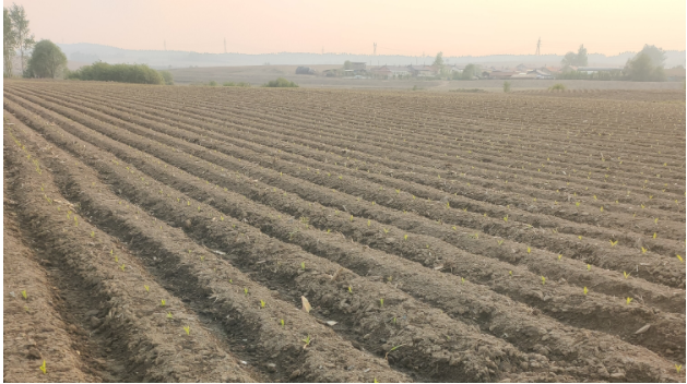专业制定“微乐刨幺怎么安装程序搞开挂(辅助挂)2025透视开挂
