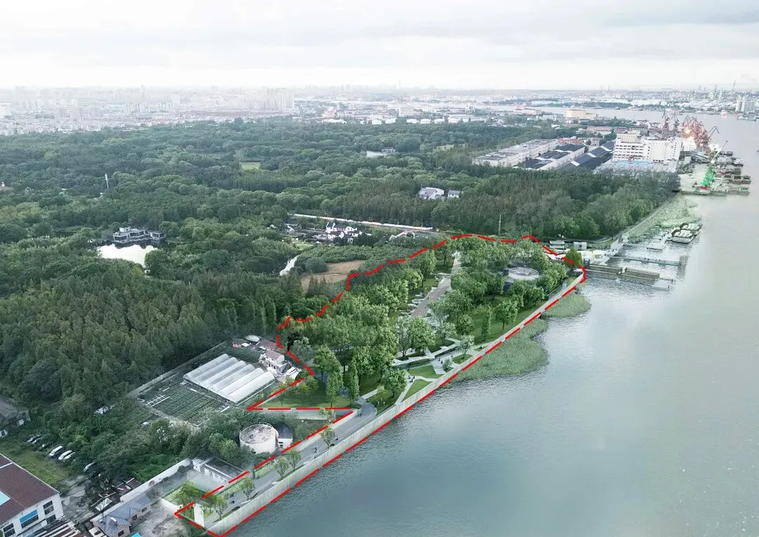 杨浦：休闲好去处！共青森林公园南园滨江版块