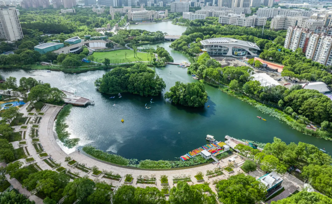 “网红鸟”有救了！